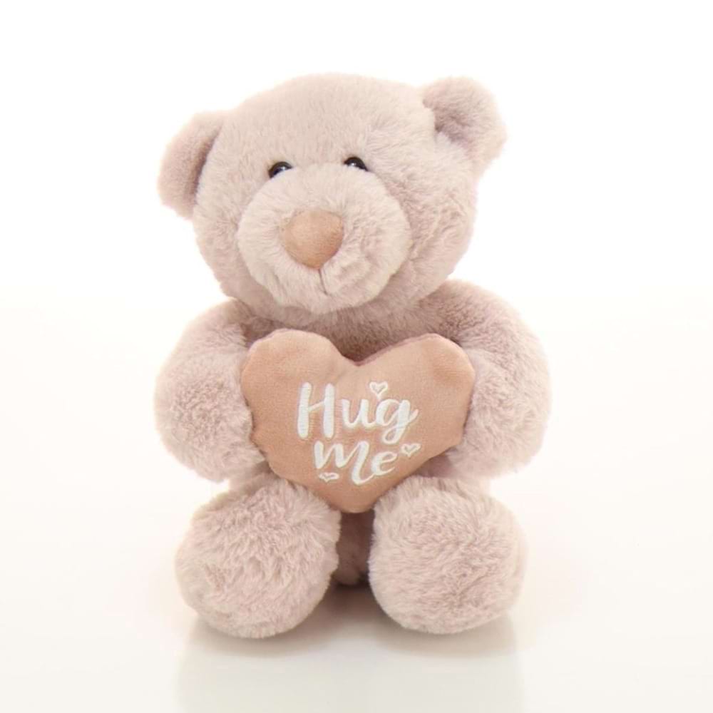 Pink Hug Me Bear 25cm